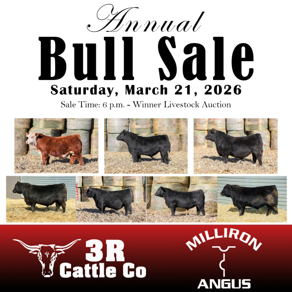 2026 Bull Sale